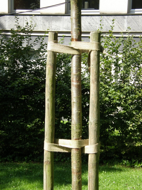 Viazací popruh na stromy  šírka 35mm - metráž