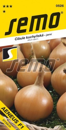 Semo Cibuľa kuchynská ´Aeneus F1´