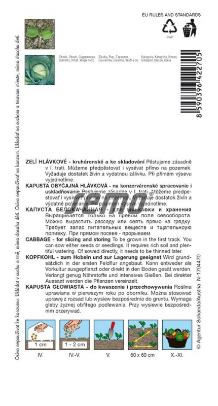 Semo Kapusta hlávková ´Kamienna Glowa´