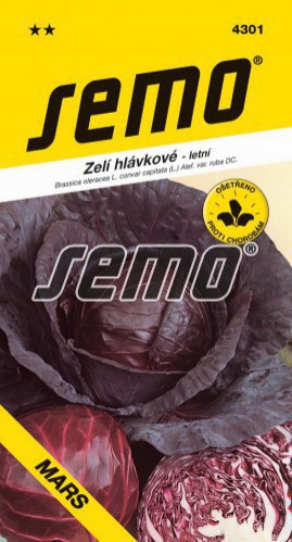 Semo Kapusta hlávková červená ´Mars´