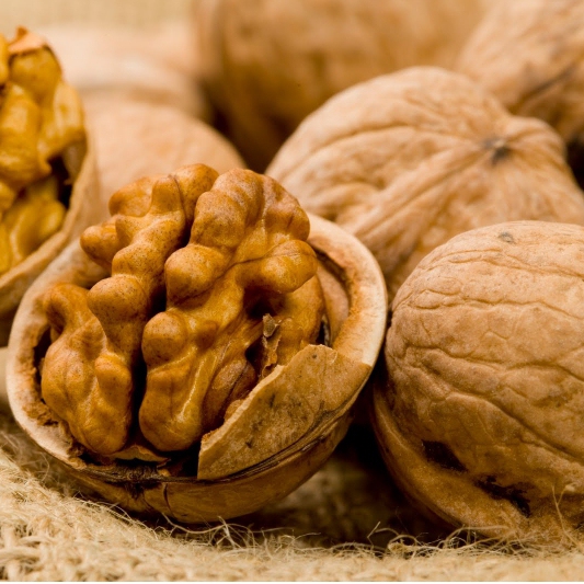 Orech "Apollo", voľnok.