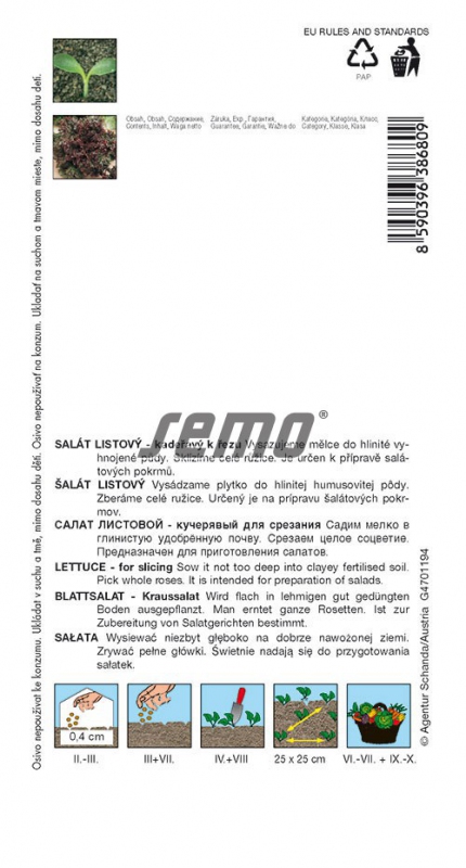 Semo Šalát  listový ´Roden´