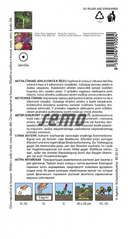 Semo  Astra čínska ´Electric Zmes´