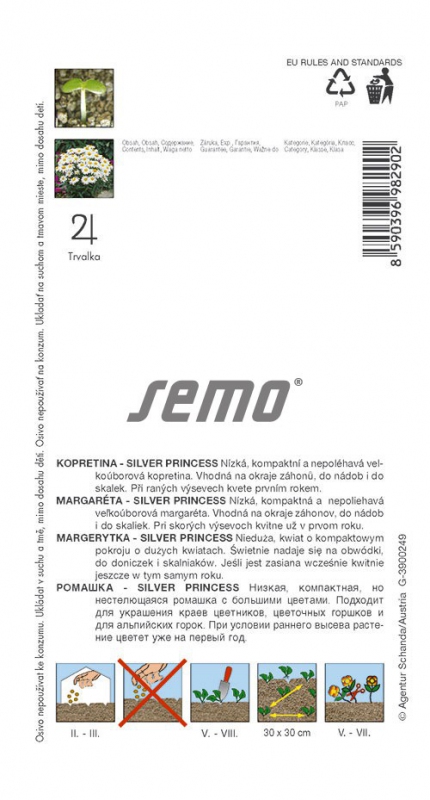 Semo Margarétka ´Silver Princess´