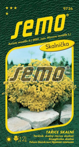 Semo Tarica skalná ´Gold Cloud´