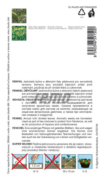 Semo Fenikel obyčajný