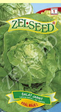 Zelseed Šalát jarný ´Král máje I.´