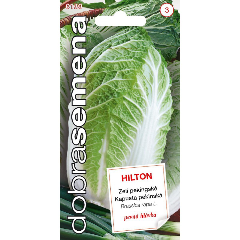 Dobrá semena Kapusta pekinská ´Hilton´