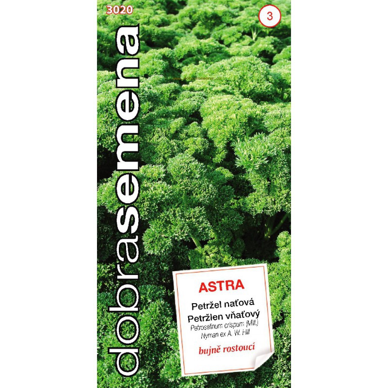 Dobrá semena Petržlen záhradný vňaťový ´Astra´