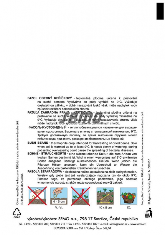 Semo Fazuľa záhradná kríčkovitá ´Carmen´