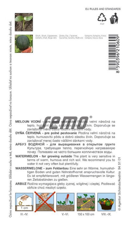 Semo Dyňa červená ´Sugar Baby´