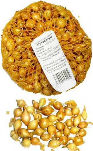 Cibuľa sadzačka ´Štutgartská´ 10/21 0,5kg