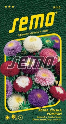 Semo  Astra čínska ´Pompon Zmes´