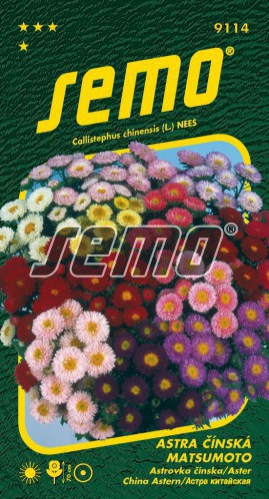 Semo  Astra čínska ´Matsumoto Zmes´