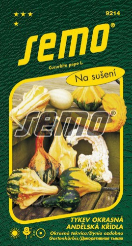 Semo Tekvica okrasná ´Andelská Krídla´