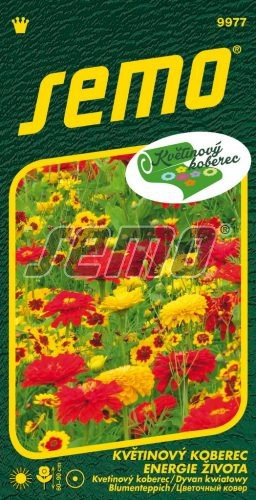 Semo Kvetinový koberec ´Energia Života´