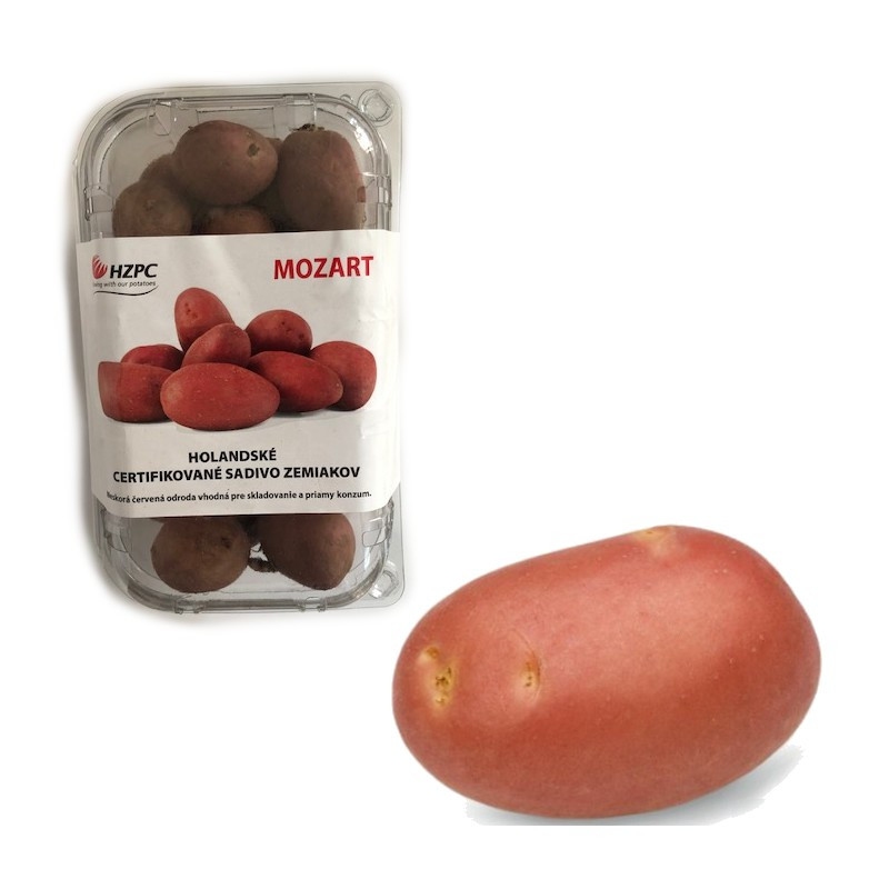 Sadbové zemiaky ´Mozart´ vanička cca 1kg