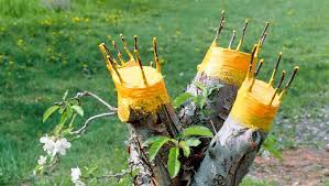 Bio Plantella Arbosan 100g tuba balzam