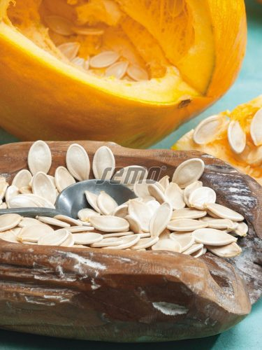 Semo Tekvica veľkoplodá Gurman (SM 396/19)