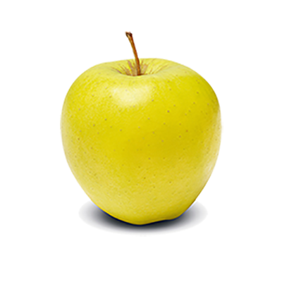Jabloň ´Golden Delicious´ zimná, podp. M9, kont. 5l