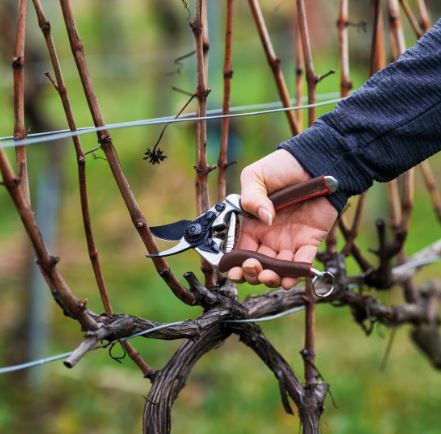 FELCO 6 Elite  Záhradné nožnice