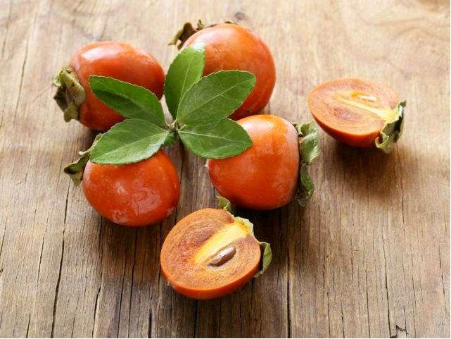 Hurmikaki ´Tipo´ na kmienku 18l