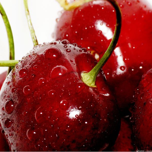 Čerešňa "Kordia" neskorá, podp. Gisela5, voľnok.