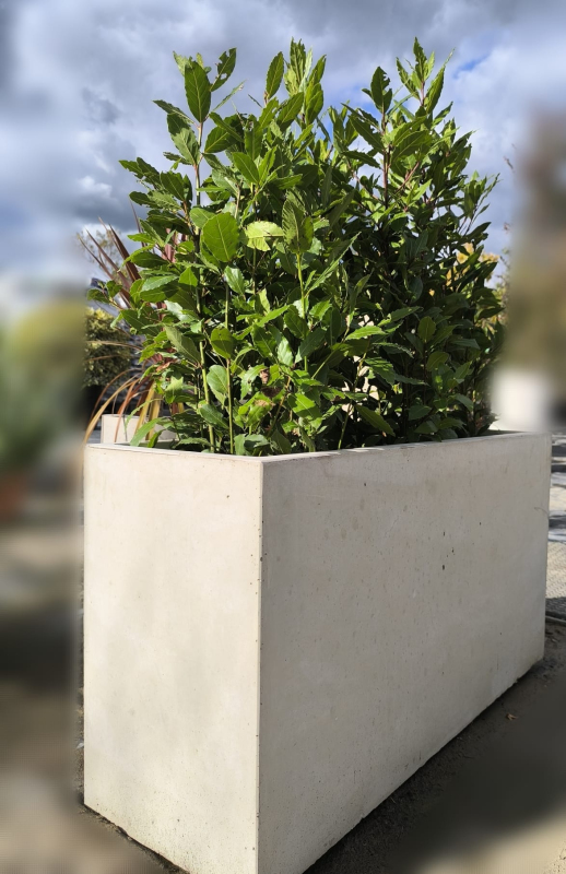 Kvetináč Terratico Prima Sydney L Pearl