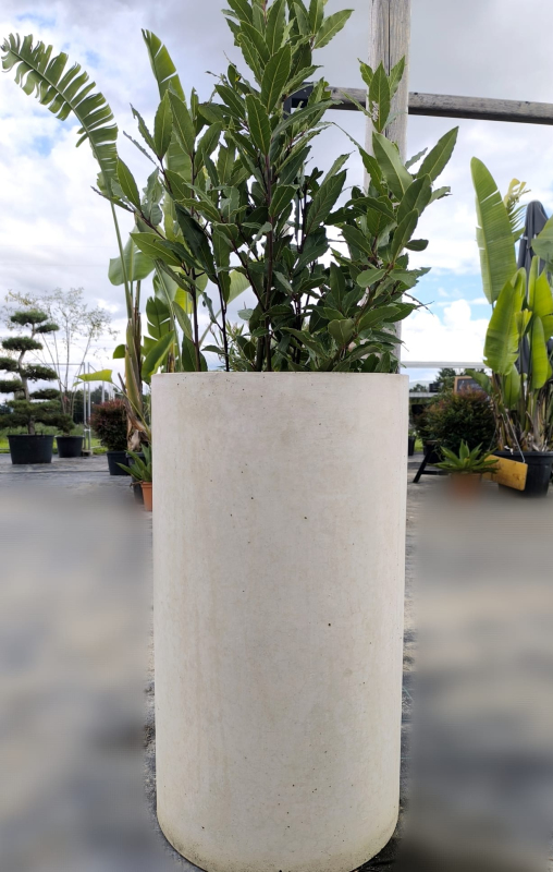 Kvetináč Terratico Fusion Oslo L Pearl