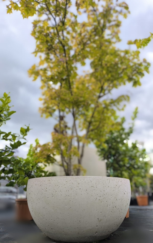 Kvetináč Terratico Terra Vienna L Pearl