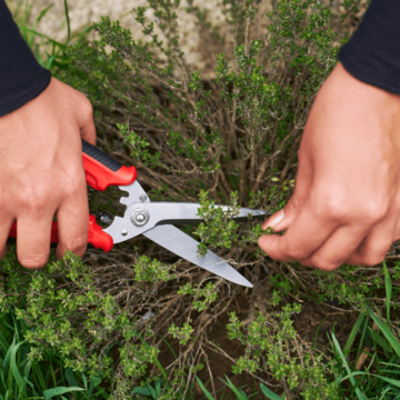FELCO 456 Univerzálne nožnice