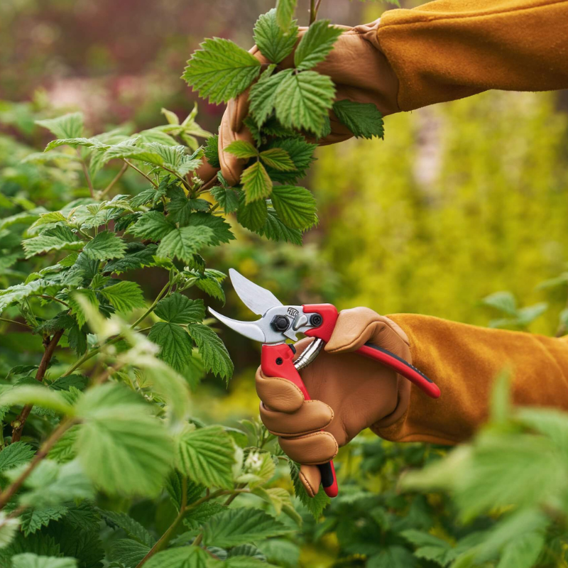 FELCO 171M Nožnice + FELCO 902 brúska
