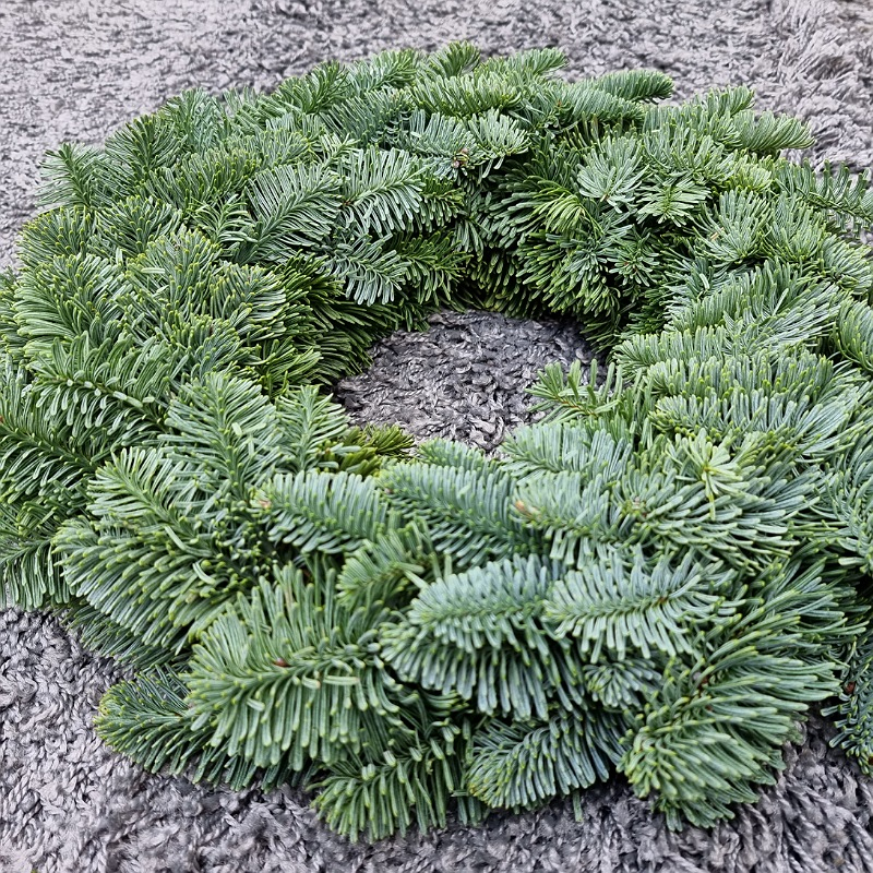Veniec vianočný (Abies Nobilis) 35cm