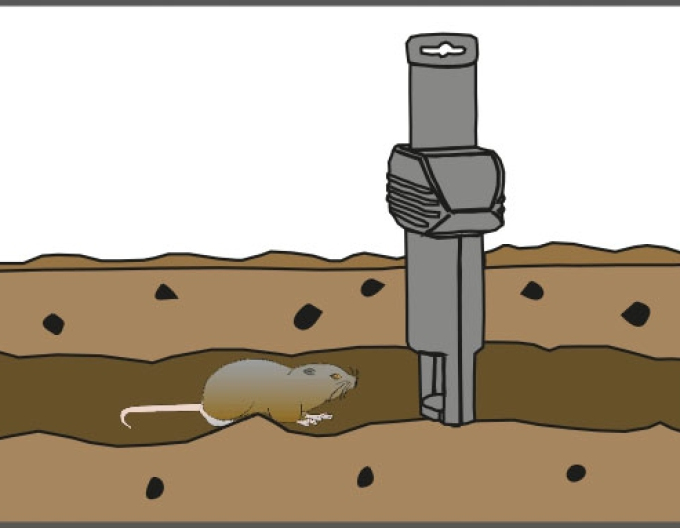 Swiss Inno Super Cat Pasca na hraboše