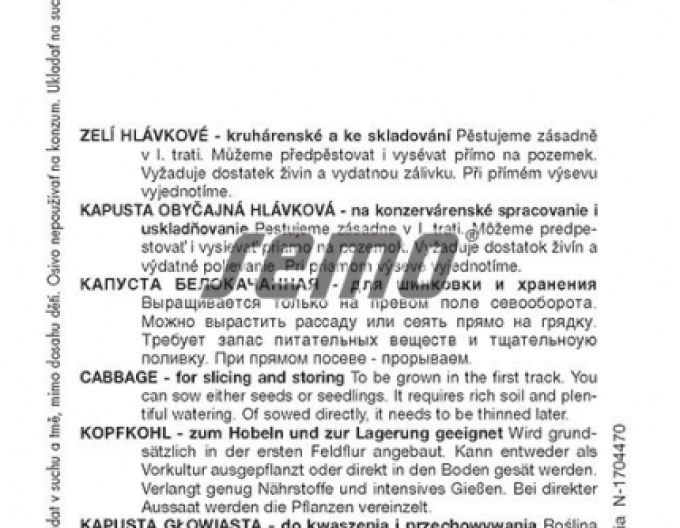 Semo Kapusta hlávková ´Kamienna Glowa´