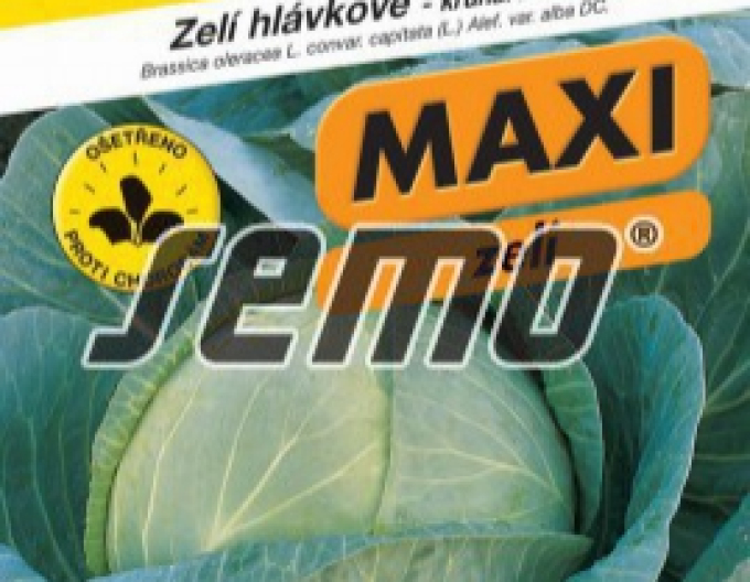 Semo Kapusta hlávková ´Megaton F1´