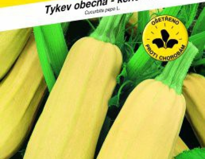 Semo Tekvica kríčková ´Kveta´