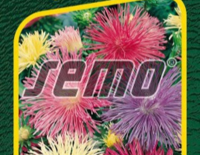 Semo  Astra čínska ´Electric Zmes´