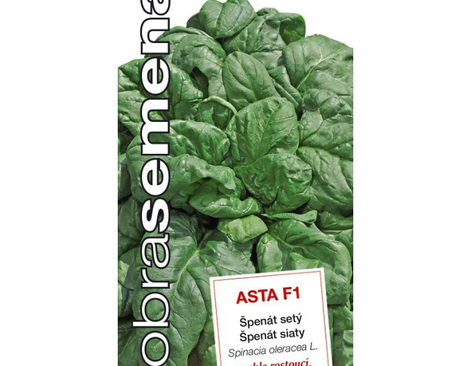 Dobrá semena Špenát siaty ´Asta F1´