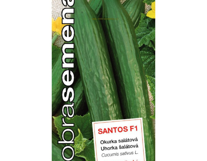 Dobrá semena Uhorka siata šalátová ´Santos F1´