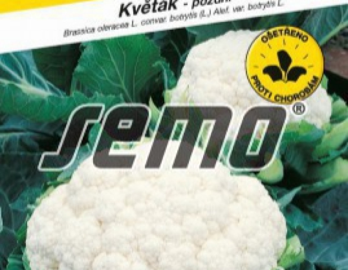 Semo Karfiol ´Snow Lady´