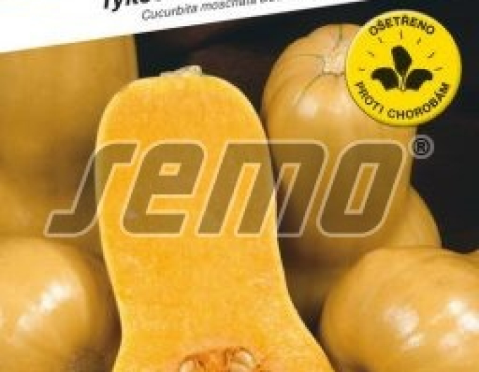 Semo Tekvica muškátová ´Stella F1´