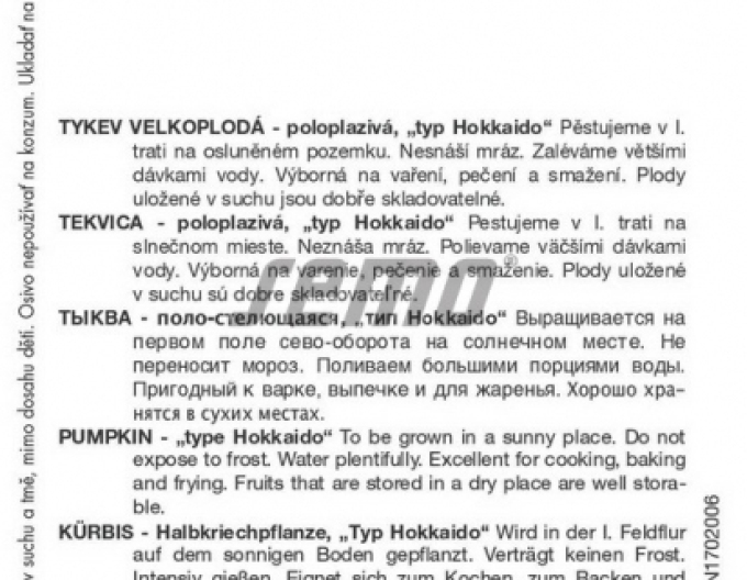 Semo Tekvica obrovská ´Amoro F1´