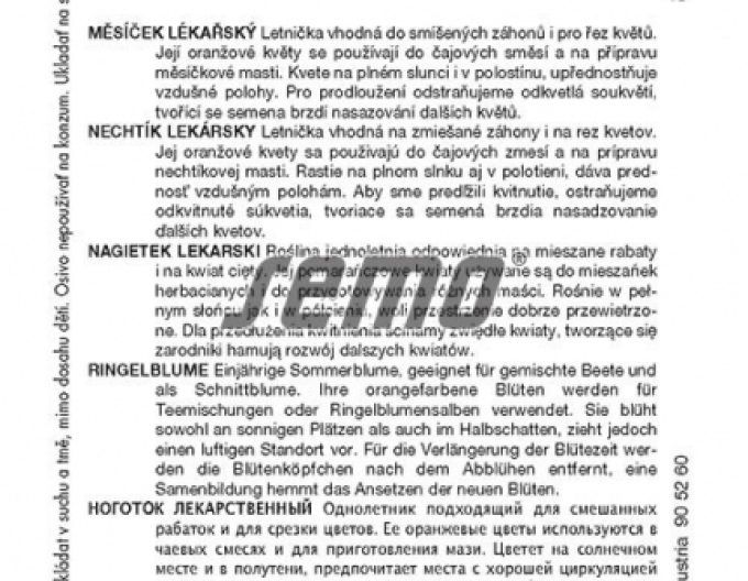 Semo Nechtík lekársky ´Pacific Beauty´