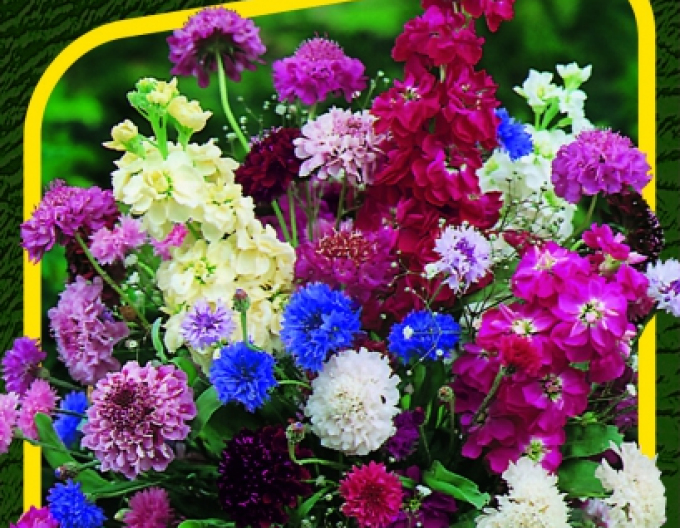 Semo Zmes letničiek na rezanie