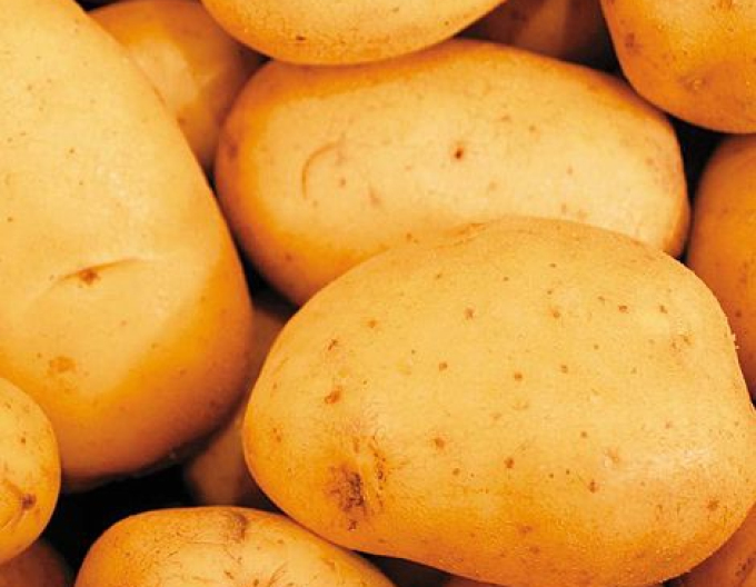 Sadbové zemiaky ´Vivaldi´ 5kg