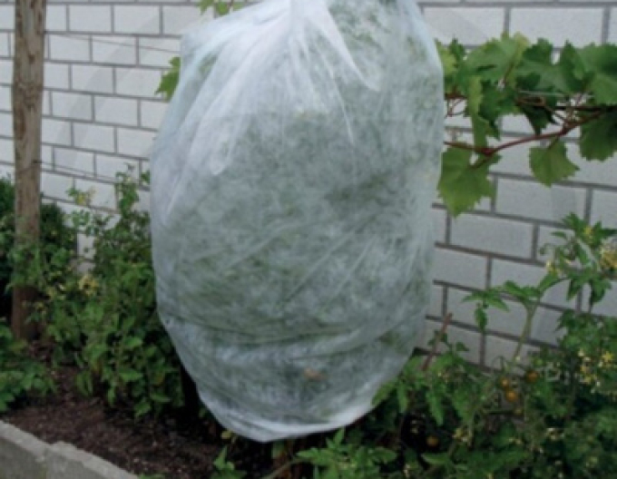 Netkaná textilia biela 17g/m2 1,6 x 50m