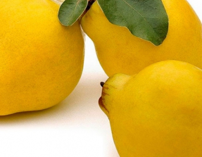 Dula hrušková ´Vranja´, podp. Dula, kont. 5l