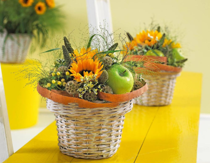 OASIS® Ideal Valček 8x6cm