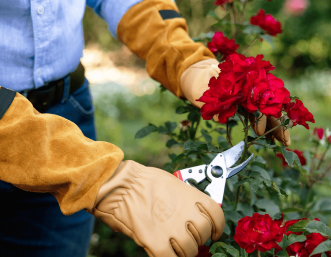 FELCO 705  Rukavice na ruže